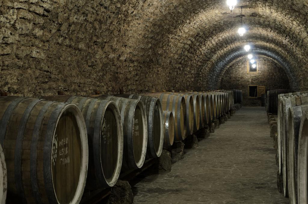 Prince Trubetskoi Winery Otel Nova Kakhovka Dış mekan fotoğraf